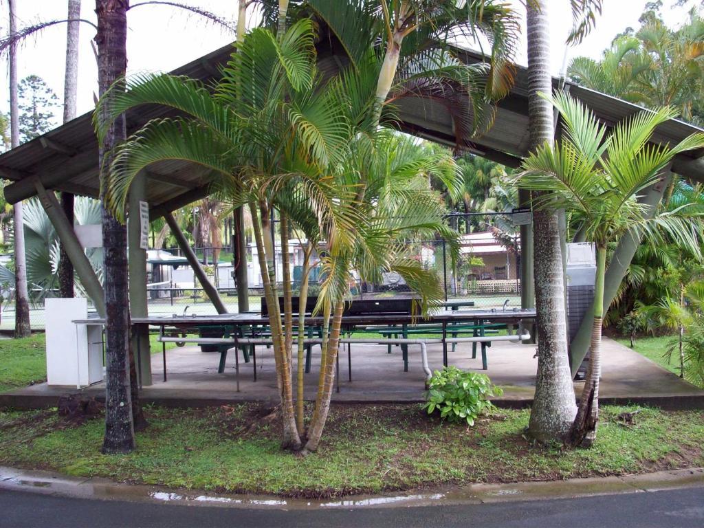 Banana Coast Caravan Park Coffs Harbour Exteriér fotografie